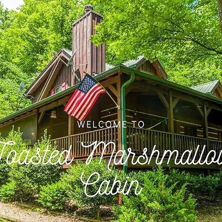 Pigeonforge Cabin Game Roomdog Friendlyhot Tub พิเจนฟอร์จ ภายนอก รูปภาพ