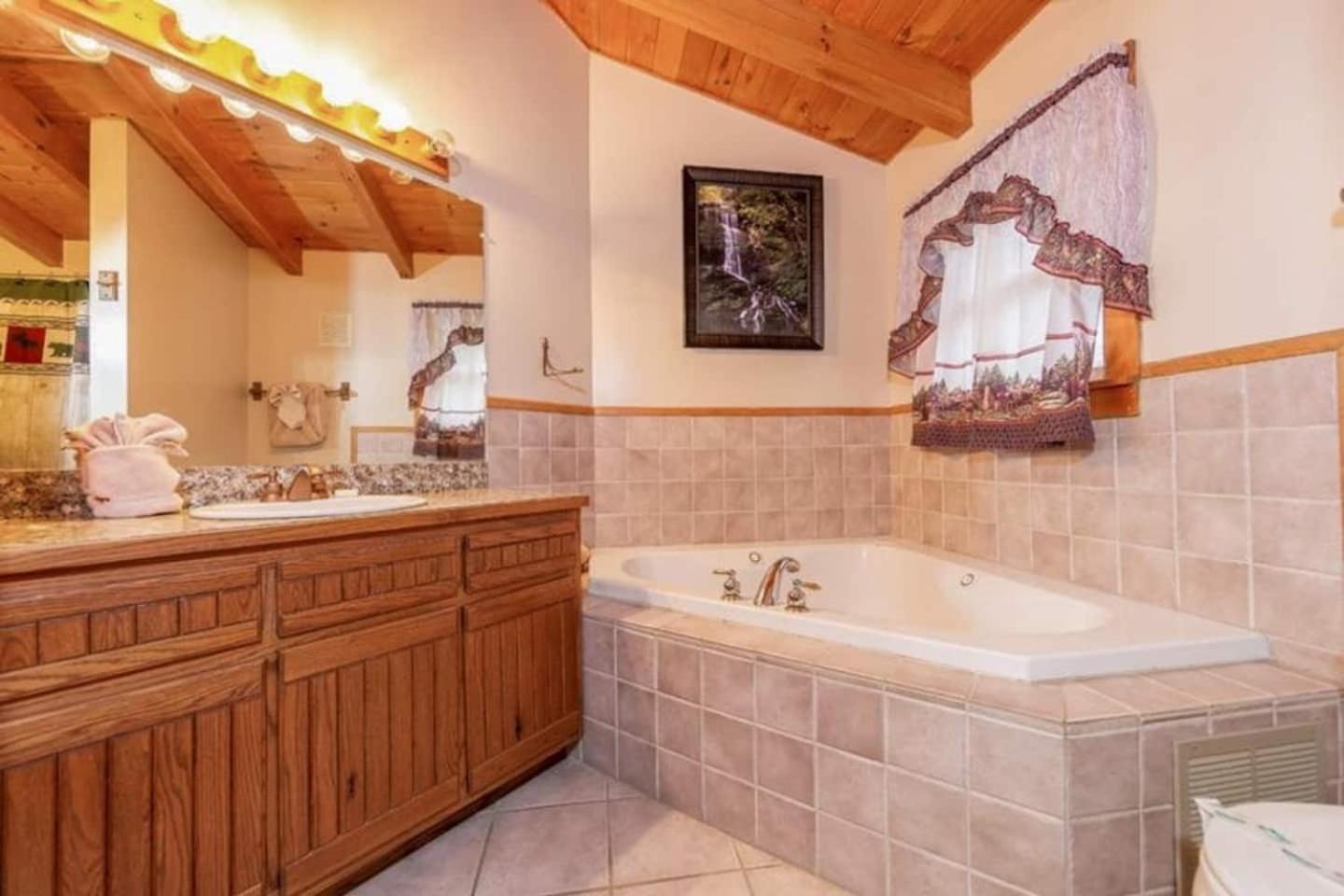 Pigeonforge Cabin Game Roomdog Friendlyhot Tub พิเจนฟอร์จ ภายนอก รูปภาพ